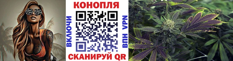Марихуана White Widow  где продают наркотики  Куртамыш 